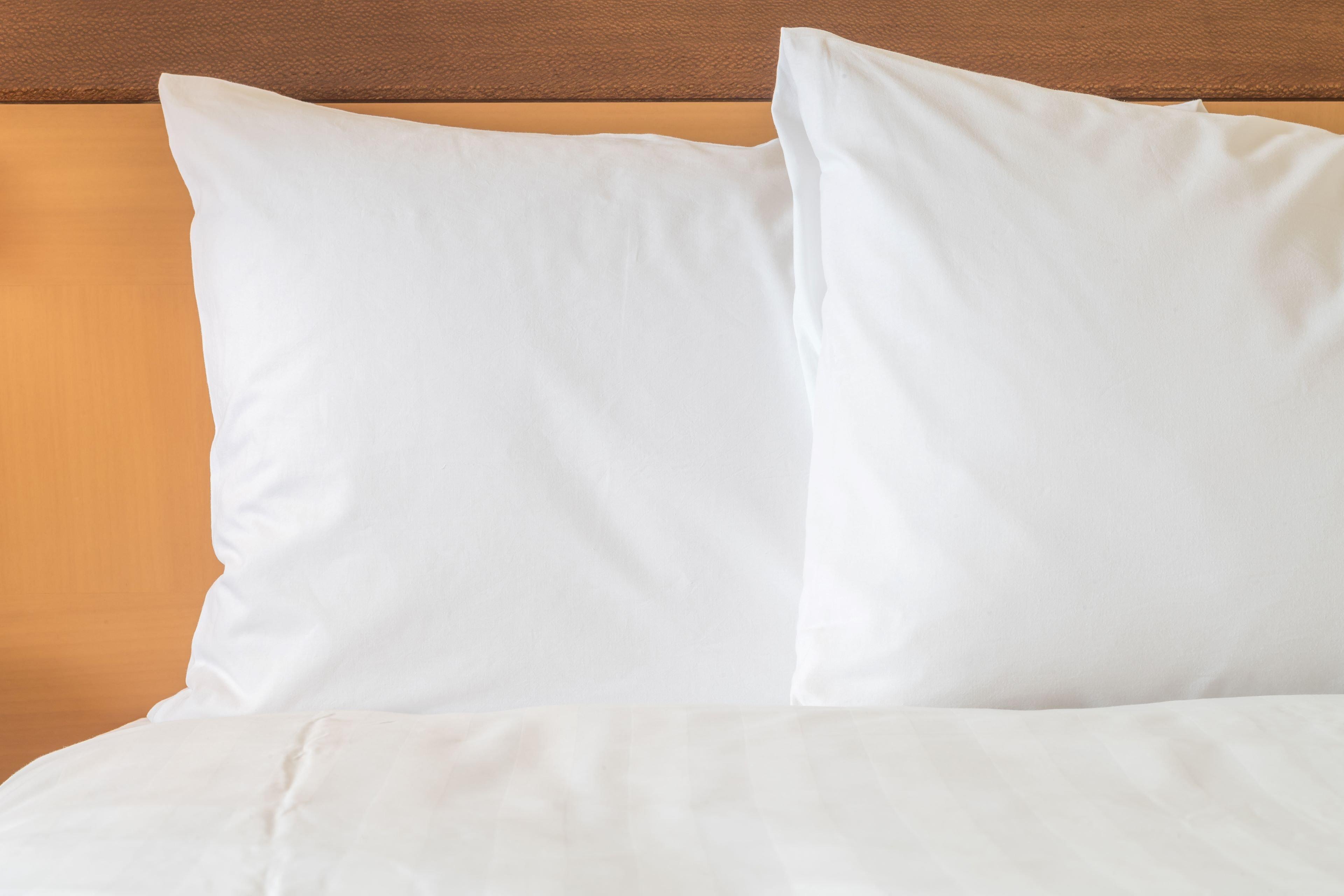 Holiday Inn Express & Suites St. John'S Airport By Ihg Eksteriør bilde